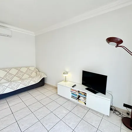 Palm Balcon Apercu Brow31 Apartment